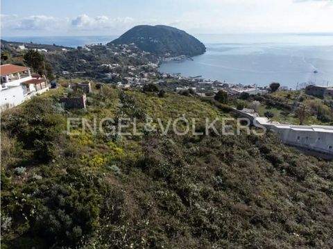 Lipari Bauernhöfe, Landwirtschaft, Lipari Forstwirtschaft