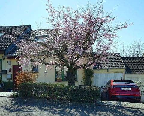 Leverkusen Häuser, Leverkusen Haus kaufen