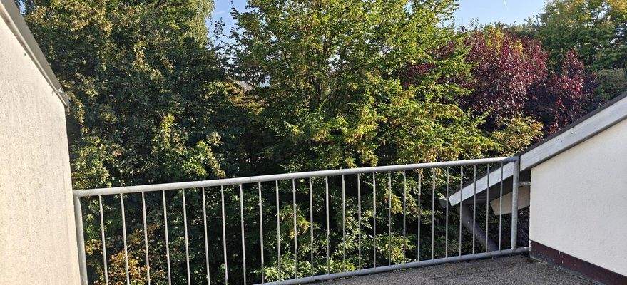 Blick vom Balkon / Terasse