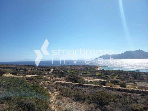 Hora, Koufonisia Bauernhöfe, Landwirtschaft, Hora, Koufonisia Forstwirtschaft