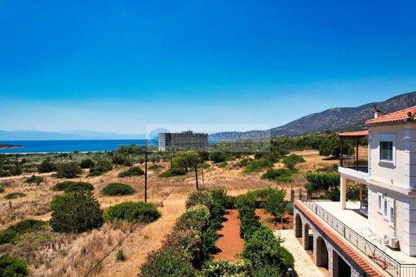 img_2d5daa3c-a9a9-4f69-916b-ce91df833d27