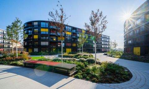 Dresden Wohnungen, Dresden Wohnung mieten