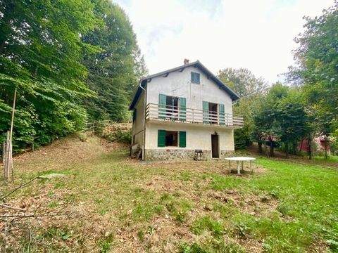 Sassello Häuser, Sassello Haus kaufen