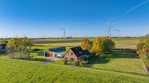 Kronprinzenkoog Häuser, Kronprinzenkoog Haus kaufen