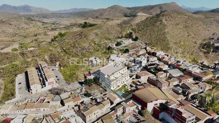 Elegant Flats with Vineyard Views in Hondón