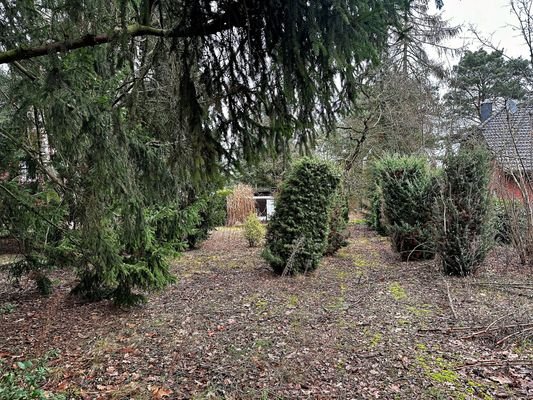 Blick aufs Grundstück