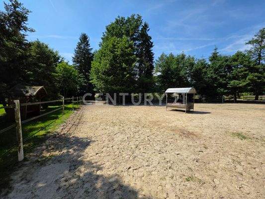 großzügiger drainierter Paddock