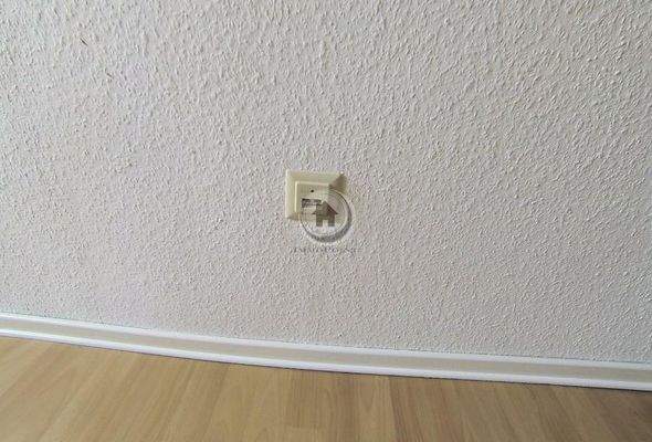 LAN Dose - Tapete - Laminat