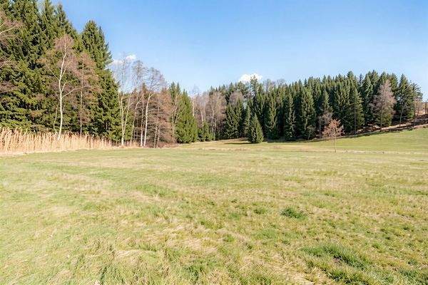 Wiese- und Waldgrund 