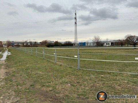 Hornstein Grundstücke, Hornstein Grundstück pachten