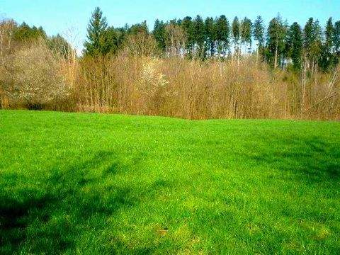 Feldkirchen-Westerham Grundstücke, Feldkirchen-Westerham Grundstück kaufen