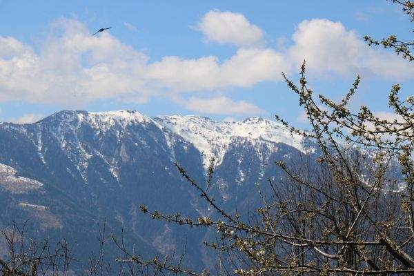 Lockende Schiberge in der Nähe
