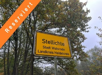 Walsrode / Stellichte Bauernhöfe, Landwirtschaft, Walsrode / Stellichte Forstwirtschaft