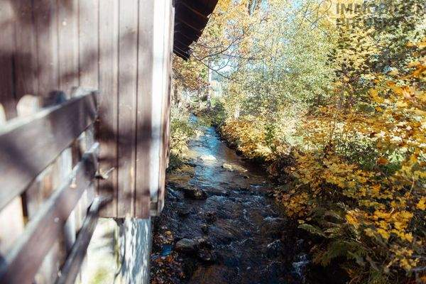 Warme Steinach hinter dem Haus