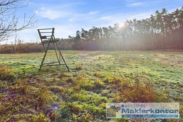 Aussicht in die Natur