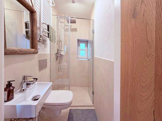 Gäste-Bad Erdgeschoss