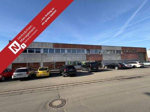 Rockenhausen Halle, Rockenhausen Hallenfläche