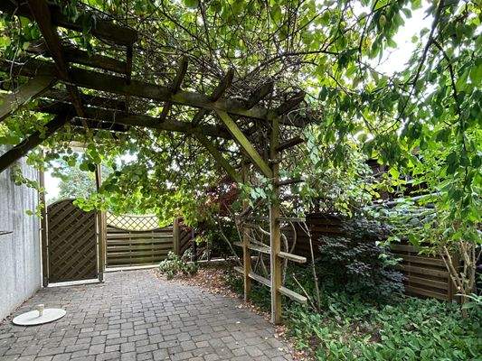 Zweite Terasse unter den Kiwis 