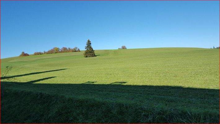 freier Blick vom Balkon