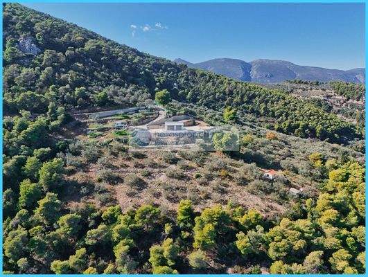 8581d94781b544058bfc758faa31fed3-original