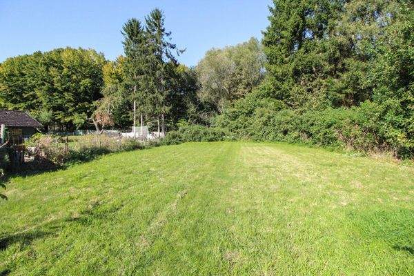 hinterer Gartenbereich