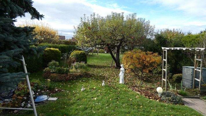 Blick in das Grundstück