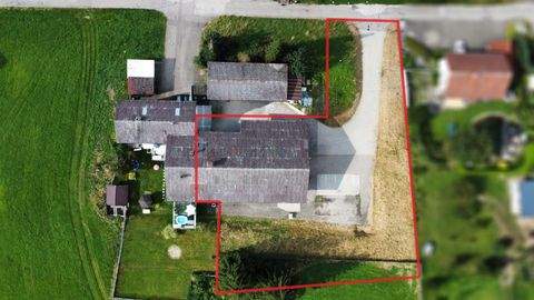 Meßkirch Halle, Meßkirch Hallenfläche