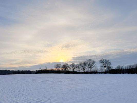 Ausblick vom Grundstück