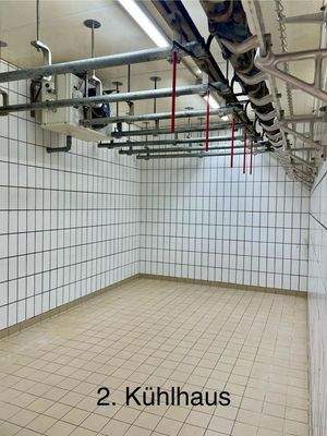 PHOTO-2025-01-09-16-13-01 (8)