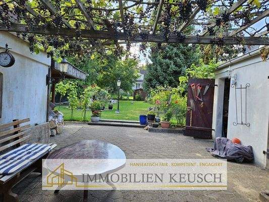 Terrasse mit Weintrauben und Gartenblick
