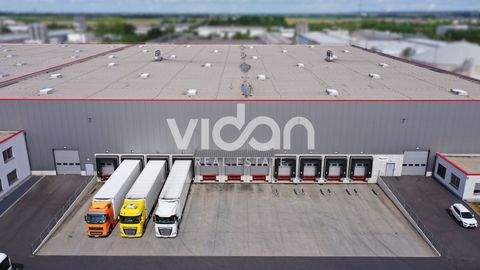 Kerpen Halle, Kerpen Hallenfläche