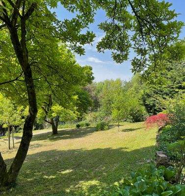 Garten in der Blüte