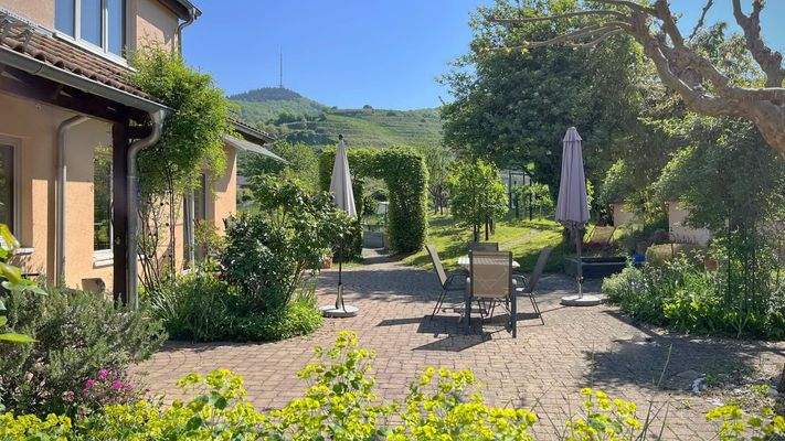 Zahlreiche Ziersträucher, Rankpflanzen und gewachsene Bäume zieren den Vorgarten