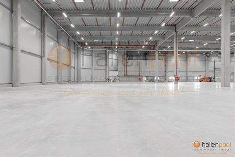 Feuchtwangen Halle, Feuchtwangen Hallenfläche