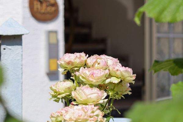 Hereinspaziert ins Familiendomizil