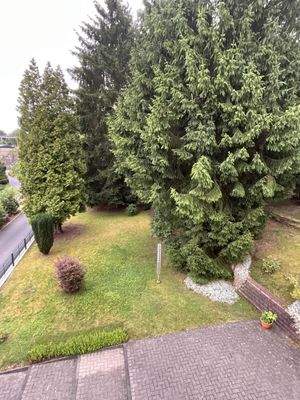 Blick auf Grundstück