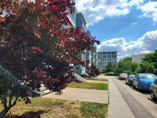 Joachimstalerstraße, Blick Ost.jpg