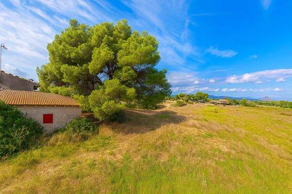 Blick über das Grundstück