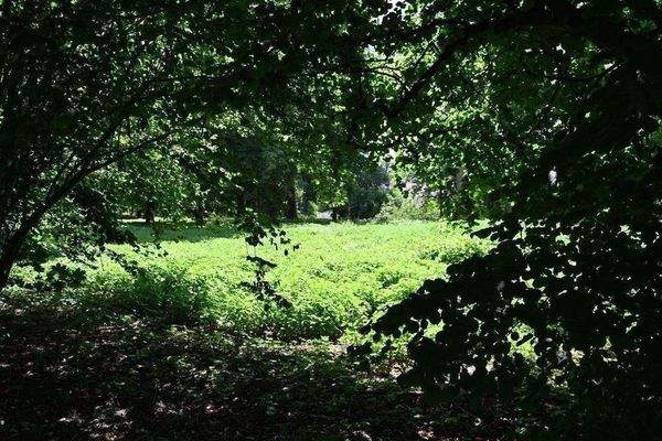 20253006 Teublitz HAUS A 23 (59).JPG