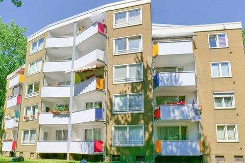 Köln Wohnungen, Köln Wohnung mieten