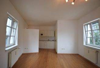Wohnraum - Kleines gemütliches Apartment nähe Linzergasse Miete Andräviertel Salzburg