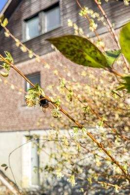 Impression Außenbereich