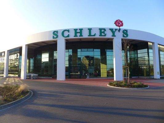 sonstige Geschäfte,