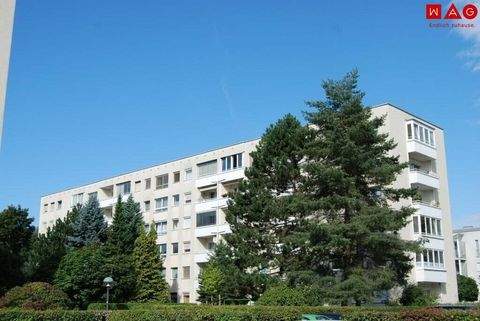 Linz Wohnungen, Linz Wohnung mieten