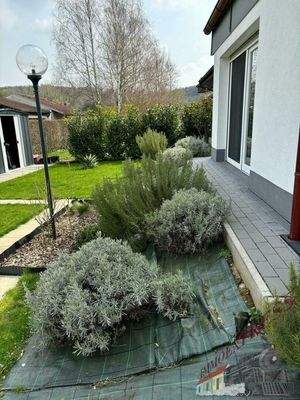 0c570051-249c-4fcb-b2fb-ffc6a301adbe