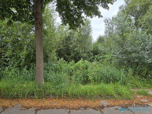 Frontale Straßenansicht