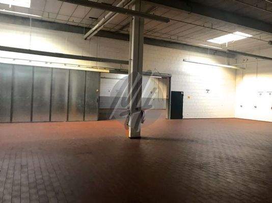 INFOS UNTER: 06171-586000