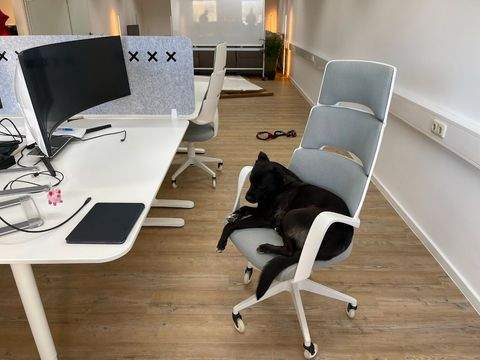 Garching bei München Büros, Büroräume, Büroflächen 