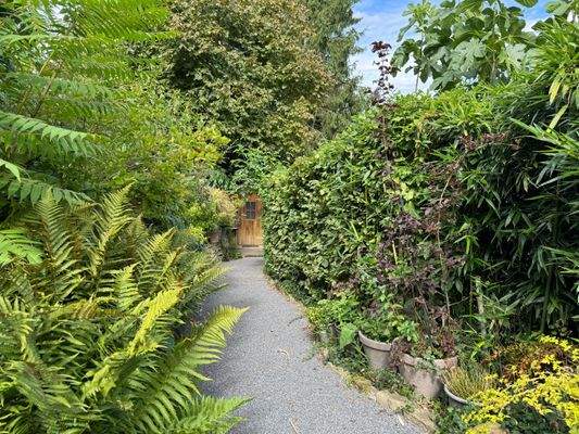 Garten mit Gartenhaus