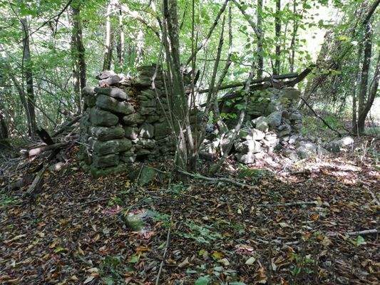 Immagine WhatsApp 2023-11-09 ore 14.26.02_08e1f576